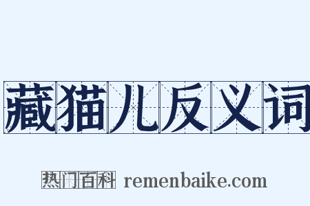 藏猫儿反义词是什么意思的图片